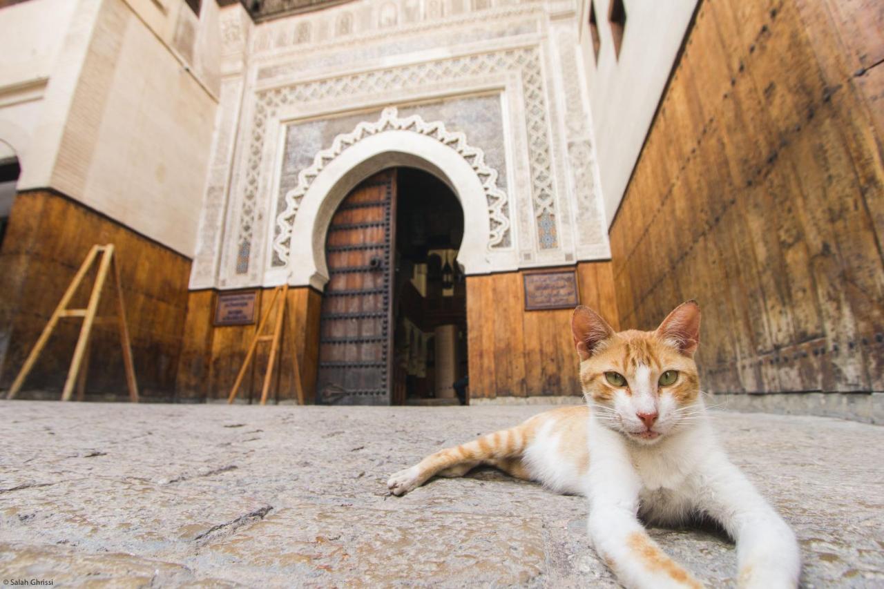 Riad Anis Fez Exterior foto